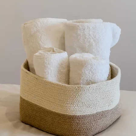 Barcelona Amelie 公寓 *