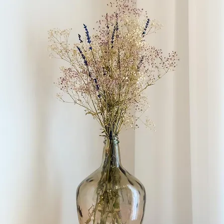 公寓 Barcelona Amelie 略夫雷加特河畔奥斯皮塔莱特